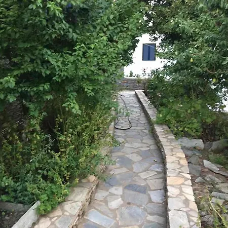 Arion Villa