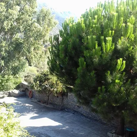 Arion Villa *